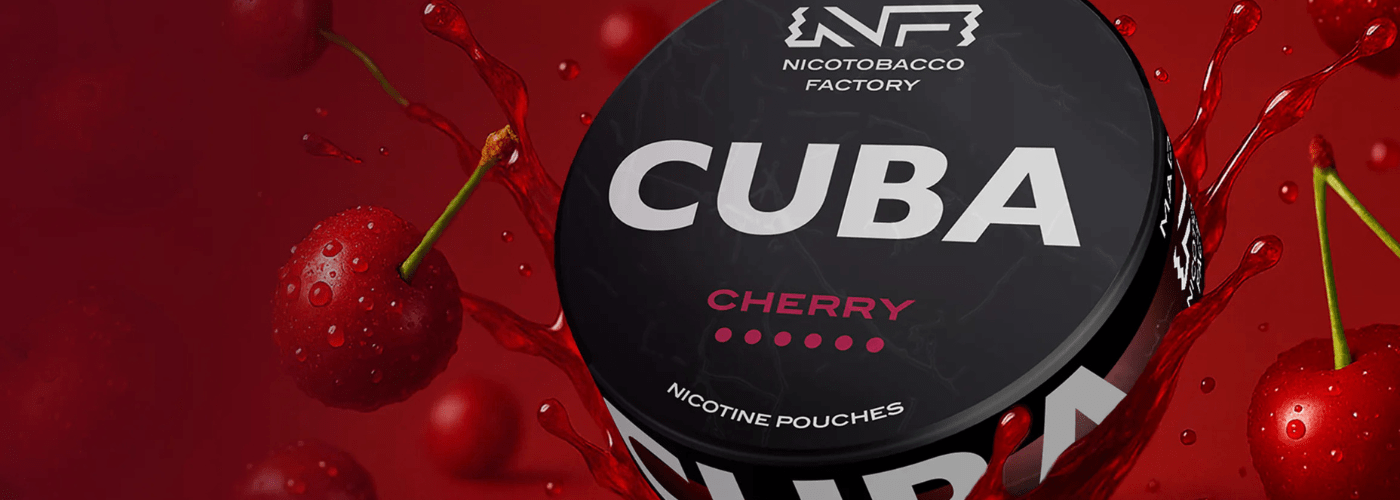 Pouch King Banner Image